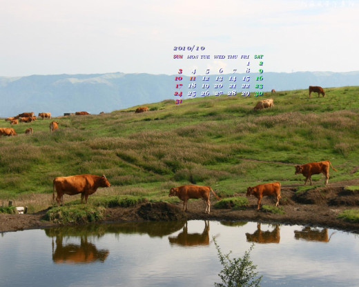 403379 (a): :1280x1024
